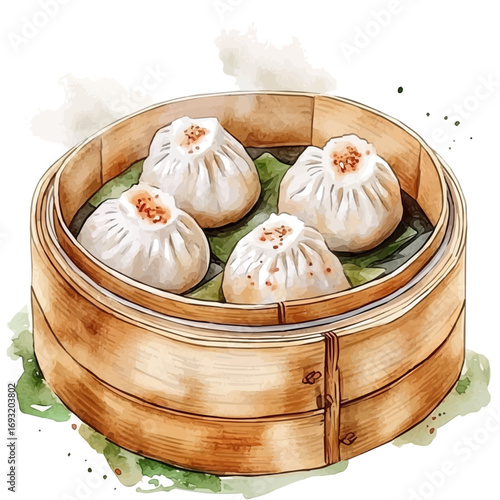 Dumplings, watercolor drawing vector, isolated on a white background.