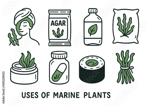 Marine plants linear icon set. featuring spa, agar, supplement, bag, cream, roll, bundle..