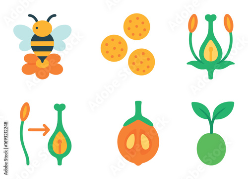 Botanical reproduction flat icon set. featuring bee, pollen, flower, fertilization, fruit, and seed symbols.