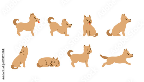 Dogs character pet in different poses doodle set. Cartoon dog animal collection. Funny happy pet animals. Vector illustration isolated on white background