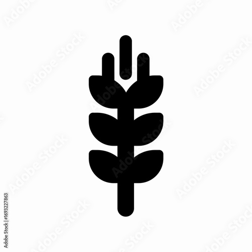 millet wheat icon sign vector