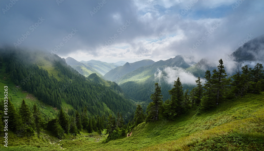 Fototapeta premium A Serene Mountain Landscape Shrouded In Mist Featuring Dense Evergreen Forests And Rugged Slopes Under A Cloudy Sky