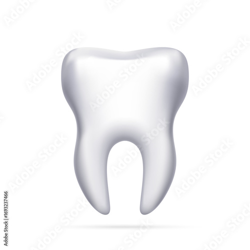 Tooth vector illustration. Realistic tooth. Illustration of a human tooth