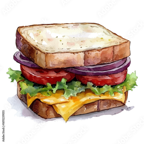 Sandwich, watercolor drawing vector, isolated on a white background.