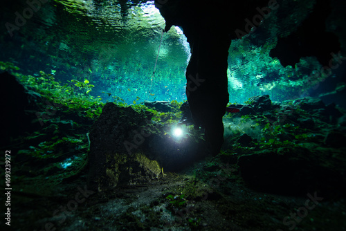 Cave Diver in Nicte Ha Cenote in the Yucatan Peninsula, Mexico