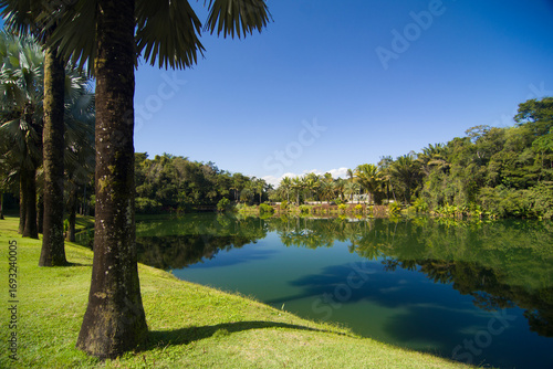 Lake at Inhotim, Belo Horizonte, Minas Gerais, Brazil.