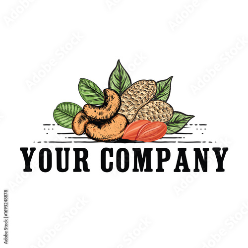 Handdrawn illustration of assorted nuts and leaves, isolated on white background