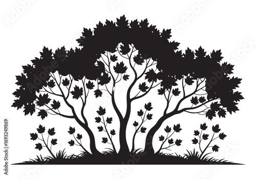 Silhouette of a large bushy tree with autumn leaves and grass in a black and white design white background