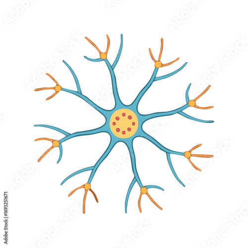 Anatomical Illustration of a Typical Neuron Cell with Axons and Dendrites, Neuron Network Representation