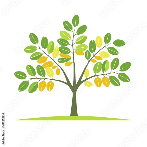 Stylized tree with green and yellow leaves with grassland vector graphic