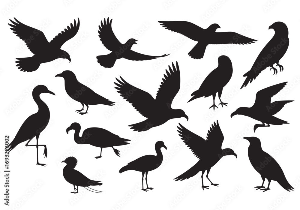 Fototapeta premium Collection of realistic bird silhouettes in flight and standing diverse species artistic representation white background
