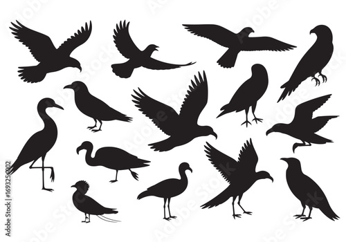Collection of realistic bird silhouettes in flight and standing diverse species artistic representation white background