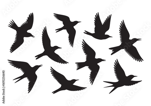 Flock of birds silhouettes in flight dynamic wing positions against white white background