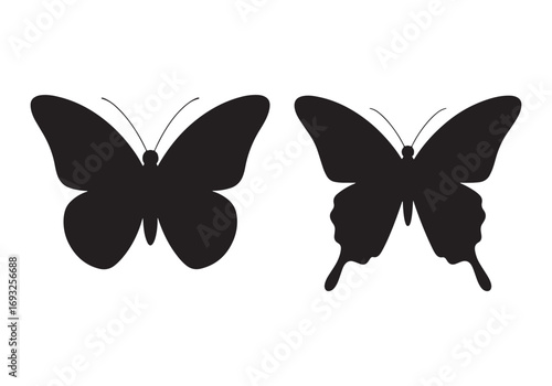 Two silhouetted butterflies displaying intricate wing details in black and white white background