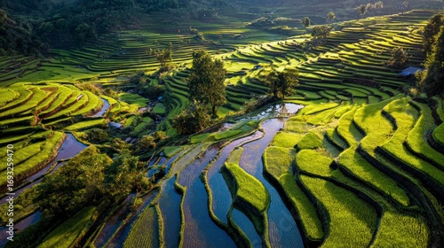 Stunning terraced rice paddies landscape