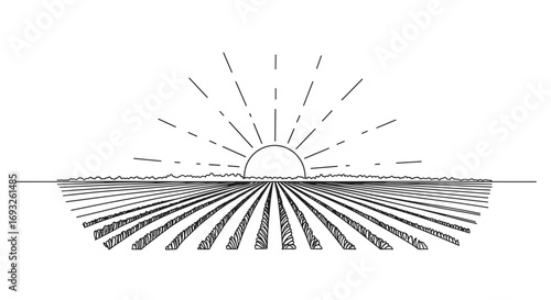 Sunrise over agricultural fields in monoline style, transparent background  