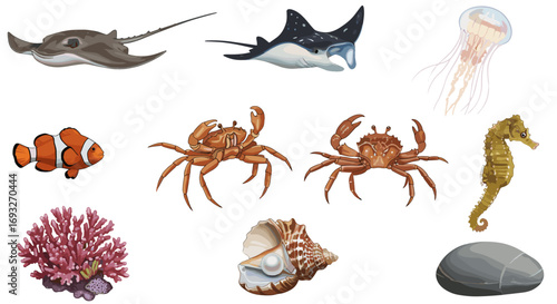 Vibrant Marine Life Collection Featuring Coral Seahorse Crabs Jellyfish Rays Clam Oyster Isolated Transparent