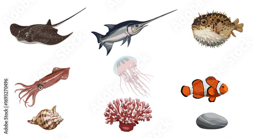 Vibrant Aquarium Creatures and Ocean Life Forms Isolated on Transparent Background