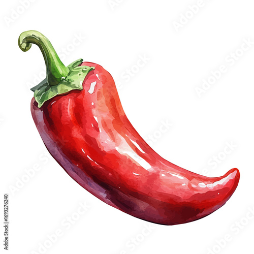 watercolor vector of Chili Pepper, isolated on a white background.