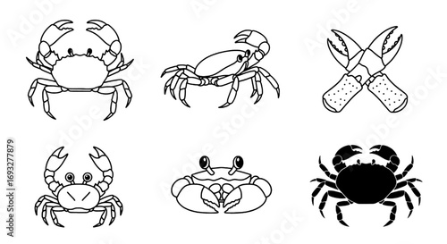 Six Outline and Silhouette Illustrations of Crabs in Various Poses on a White Background