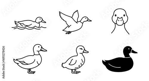 Collection of Cute and Playful Duck Illustrations in Various Poses for Design Projects