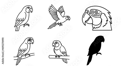 A collection of six simple line art illustrations of macaw parrots in various poses and styles