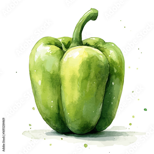 Bell Pepper, watercolor illustration vector, isolated on a white background.