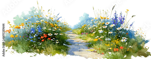 Watercolor illustration of a floral path landscape featuring blue, yellow, white and red flowers, set on a transparent background, creating a scenic route through a lush field, PNG