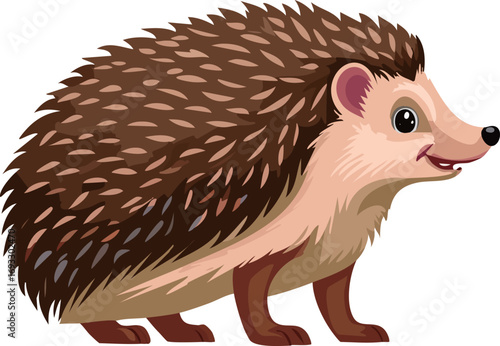 ハリネズミ