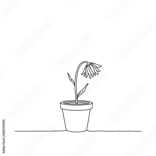 Wilted Flower Vector. Drooping potted flower in outline style, transparent background. Sadness, loss, environmental neglect, loneliness, decay metaphor, life fading concept illustration