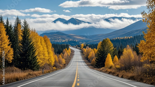 Autumn Highway Through a Forest at Sunset and Dusk for a Self-drive Tour and Travel Background
