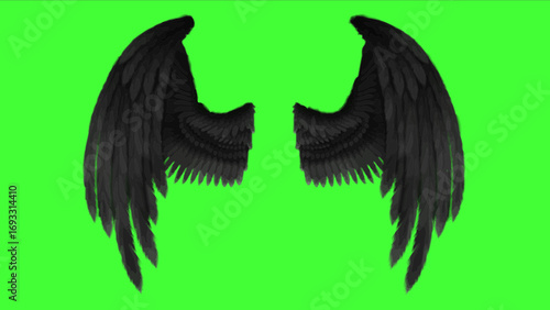 Black angel wings on a green screen background for compositing.