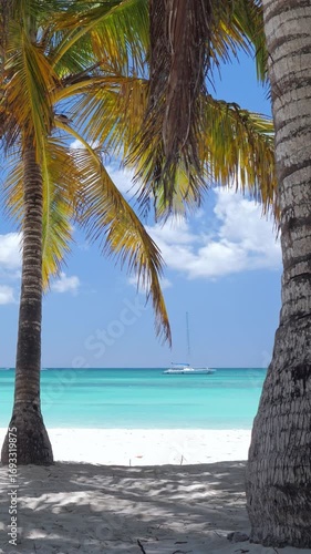 Coconut palm tree on white sandy beach at caribbean island. Travel getaways. Summer holidays. Saona Island. Vertical footage