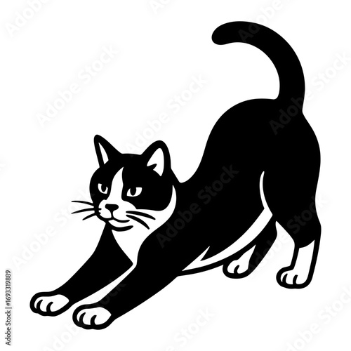 Tuxedo Cat Stretching