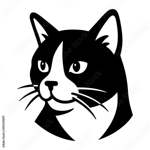 Tuxedo Cat Portrait