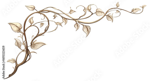 Ornate vine design decorated with leaves
