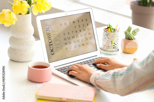 Female hands using laptop w...