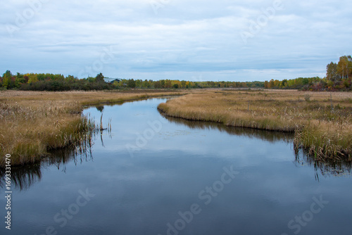 Tableau sur toile A tall, yellow, grassy, rural wetland with a river running through the center