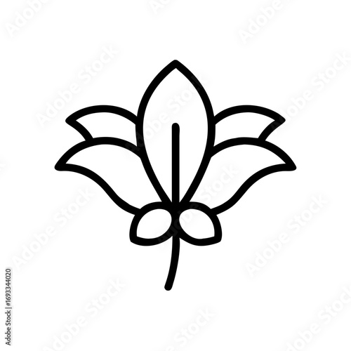 An elegant flower design with delicate lines and symmetrical petals