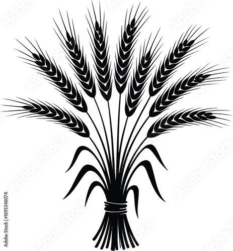 Black wheat stalks tied together grain harvest