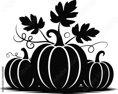 Black pumpkins with leaves and vines gourds squash