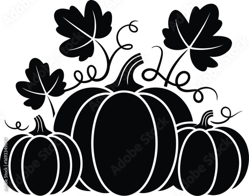 Black pumpkins and leaves design gourds squash