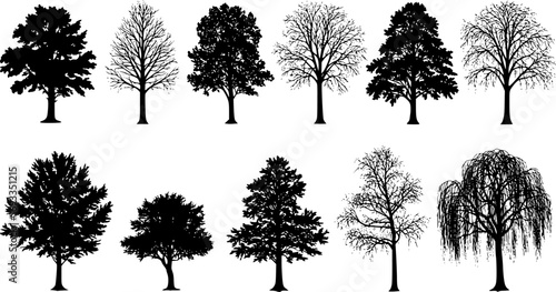various deciduous trees silhouettes on the white background. vector set. PNG white background

