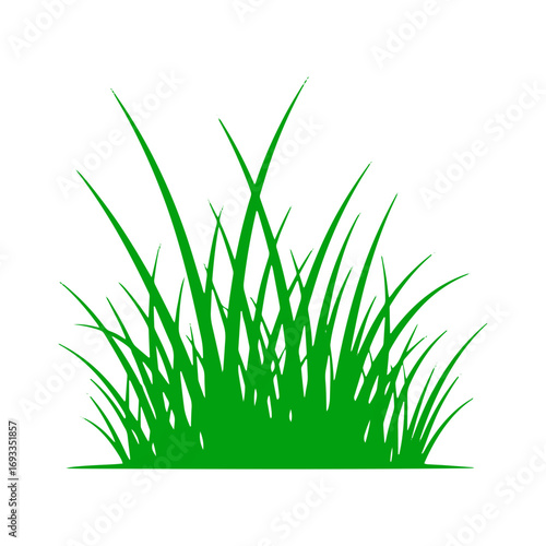 Vibrant green grass blades sway gently, bringing natural freshness to any design project.