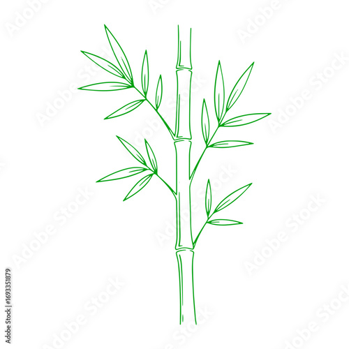 Elegant green bamboo stalk with delicate leaves, symbolizing nature and tranquility