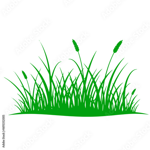 Vibrant green grass stalks sway gently creating a fresh natural scene