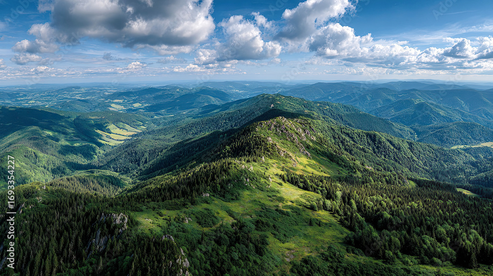 Obraz premium 美しい緑が広がる夏の山並みの風景