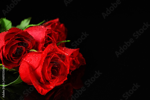 Wallpaper Mural Many beautiful red rose flowers on black background, closeup Torontodigital.ca