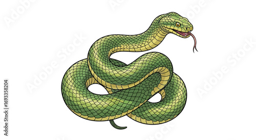 Realistic Illustration of a Coiled Green Snake with Detailed Scales and Forked Tongue on White Background
