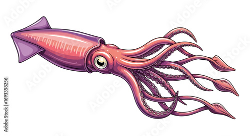 Detailed illustration of a pink and purple squid with long tentacles and a large eye, swimming in the ocean.